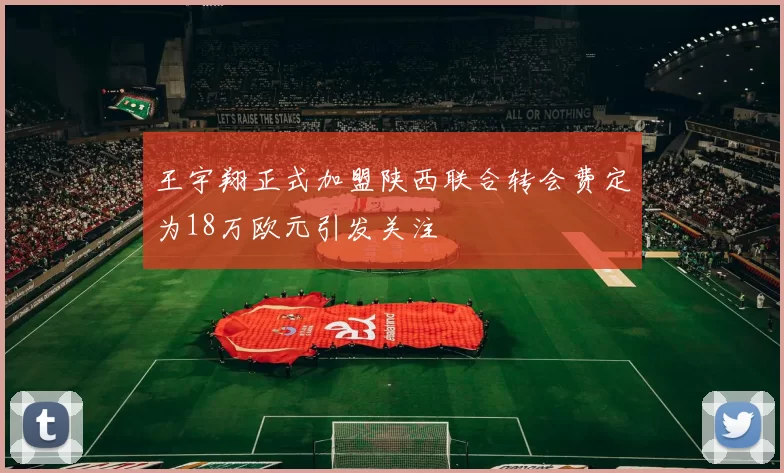 王宇翔正式加盟陕西联合转会费定为18万欧元引发关注