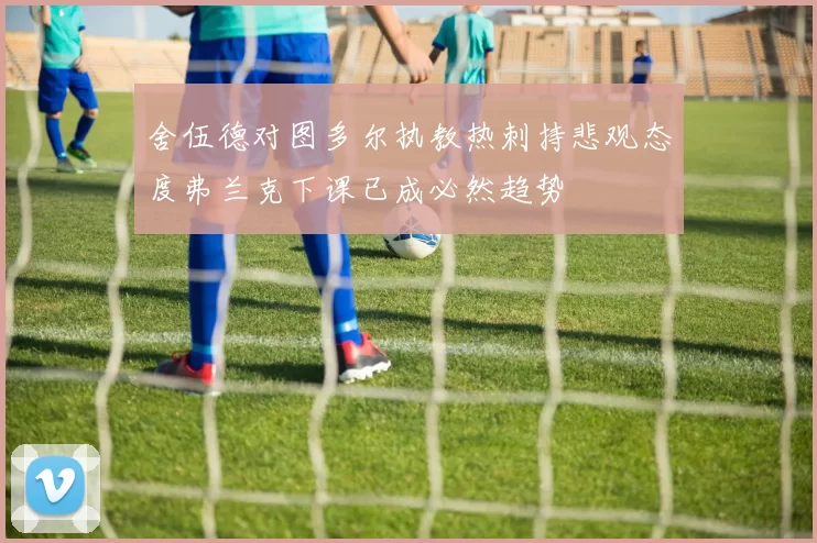 舍伍德对图多尔执教热刺持悲观态度弗兰克下课已成必然趋势
